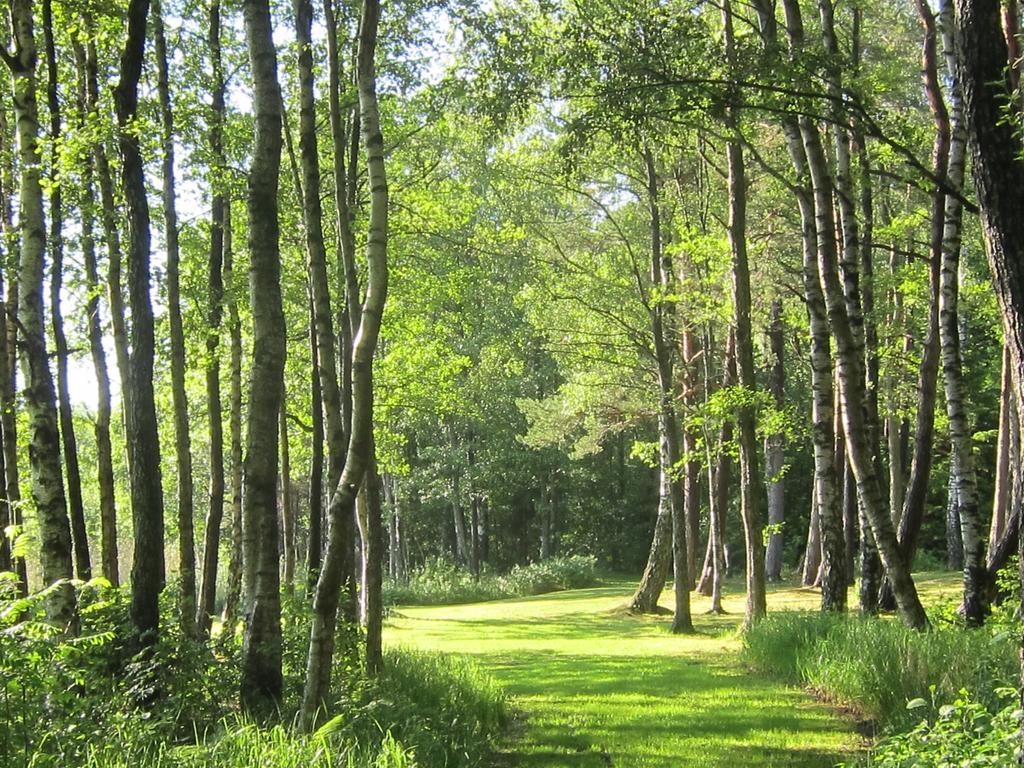 Sikhall Camping Sorbo  Екстер'єр фото